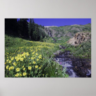 Wasserfall und Wildblumen auf Almwiesen, Poster
