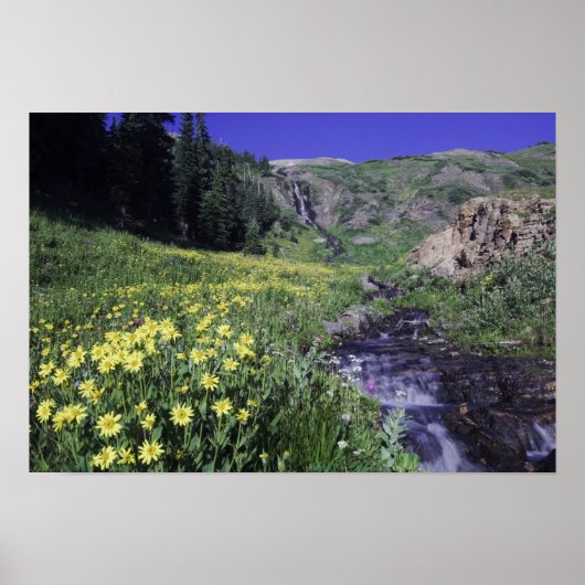 Wasserfall und Wildblumen auf Almwiesen, Poster (Vorne)