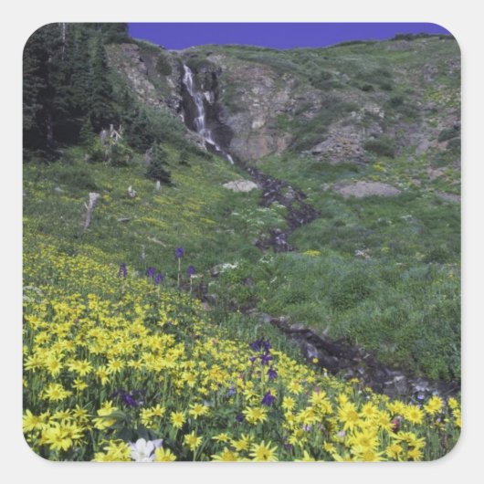 Wasserfall und Wildblumen auf Almwiesen, Quadratischer Aufkleber (Vorderseite)