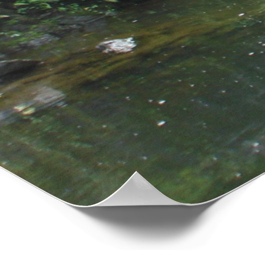 Wasserfall unter der Brücke Poster (Ecke)