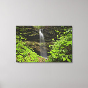Wasserfall, untergehen, Whiteoak Sink, Leinwanddruck