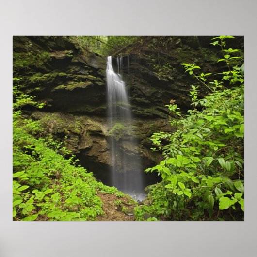 Wasserfall, untergehen, Whiteoak Sink, Poster (Vorne)