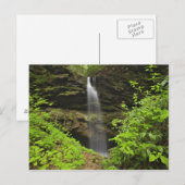 Wasserfall, untergehen, Whiteoak Sink, Postkarte (Vorne/Hinten)