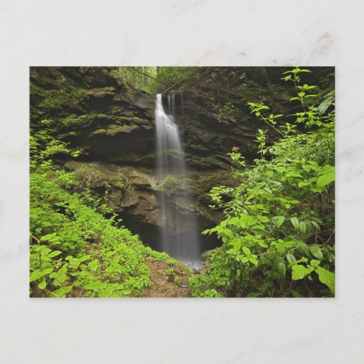 Wasserfall, untergehen, Whiteoak Sink, Postkarte (Vorderseite)