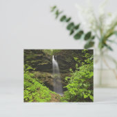 Wasserfall, untergehen, Whiteoak Sink, Postkarte (Stehend Vorderseite)
