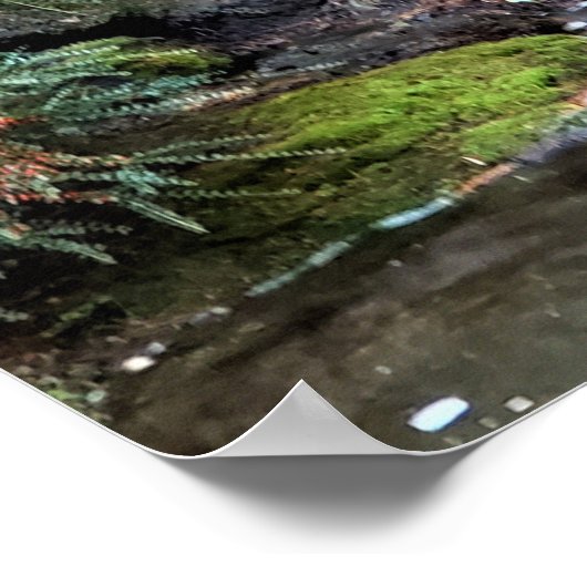 Wasserfall Van Dusen Botanischer Garten Vancouver Poster (Ecke)