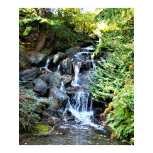 Wasserfall Van Dusen Botanischer Garten Vancouver