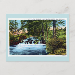Wasserfall, Wald, Seeteufel Canyon, Schwarze Hügel Postkarte