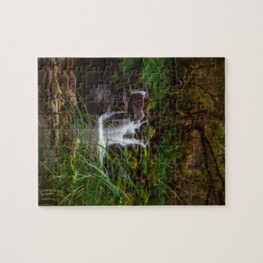 Wasserfall-Wasser-Natur-Landschafts-Puzzle Puzzle (Horizontal)