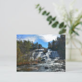 Wasserfall Wasserfall DuPont Staat Forest NC Postkarte (Stehend Vorderseite)