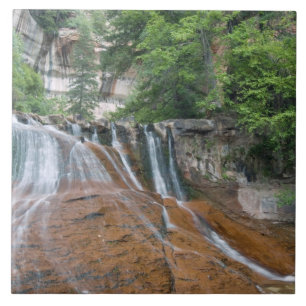 Wasserfall, Zion National Park, Utah, USA Fliese
