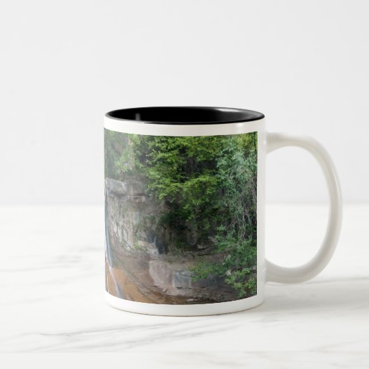 Wasserfall, Zion National Park, Utah, USA Zweifarbige Tasse (Rechts)