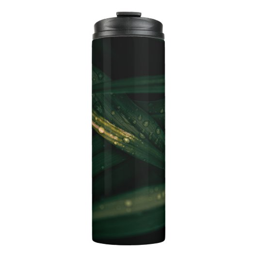 WASSERFÄLLE AUF GRÜNEN FLASCHEN (Vorderseite)