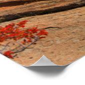 Wasserfälle | Fitz Roy Mountain, Argentinien Poster (Ecke)