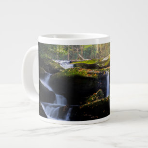 Wasserfälle   Great Smoky Mountain National Park Jumbo-Tasse