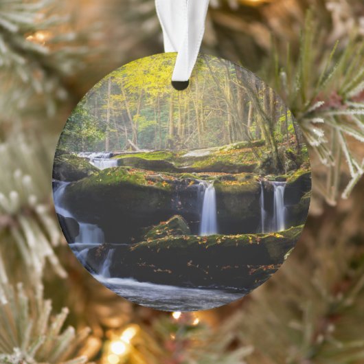 Wasserfälle | Great Smoky Mountain National Park Ornament (Baum)