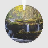 Wasserfälle | Great Smoky Mountain National Park Ornament (Rückseite)