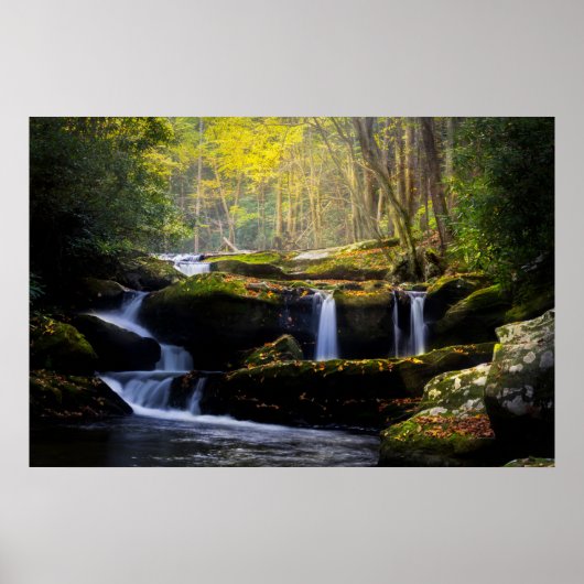 Wasserfälle | Great Smoky Mountain National Park Poster (Vorne)