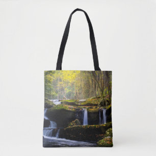 Wasserfälle Great Smoky Mountain National Park Tasche