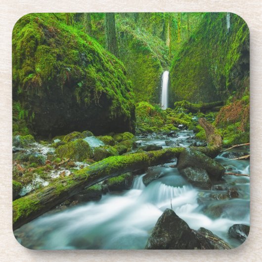 Wasserfälle | Grotto Falls, Oregon Getränkeuntersetzer (Vorderseite)