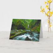 Wasserfälle | Grotto Falls, Oregon Karte (Gelbe Blume)