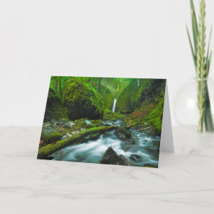 Wasserfälle   Grotto Falls, Oregon Karte