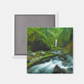 Wasserfälle | Grotto Falls, Oregon Magnet (Vorderseite/Rückseite)