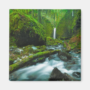 Wasserfälle   Grotto Falls, Oregon Magnet