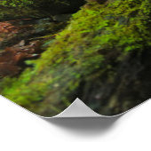 Wasserfälle | Grotto Falls, Oregon Poster (Ecke)