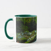 Wasserfälle | Grotto Falls, Oregon Tasse (Links)