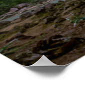 Wasserfälle | Havasu-Fälle bei Sunset Poster (Ecke)