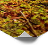 Wasserfälle im Herbst Poster (Ecke)