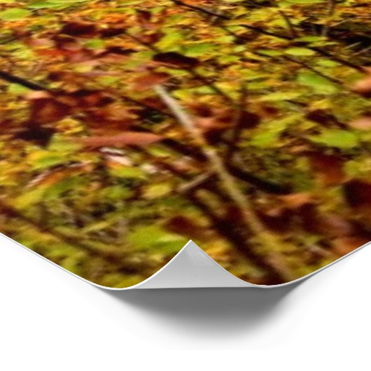 Wasserfälle im Herbst Poster (Ecke)