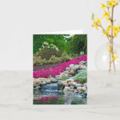 Wasserfälle im Steingarten Karte (Gelbe Blume)