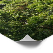 Wasserfälle in Kpalme. Zentraltogo, Westafrika 2 Poster (Ecke)