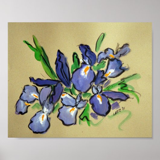 Wasserfälle Iris Abstrakte Malerei Art Poster Druc (Vorne)