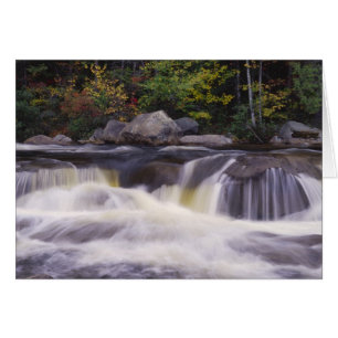 Wasserfälle, Kancamagus Highway, weiß