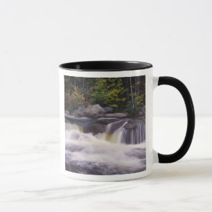 Wasserfälle, Kancamagus Highway, Weiß Tasse