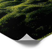 Wasserfälle Landschaft Medizin Poster (Ecke)