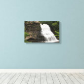 Wasserfälle, Maryland Leinwanddruck (Insitu (Holzboden))