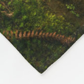 Wasserfälle | Olympic National Park, Washington Fleecedecke (Ecke)