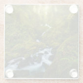 Wasserfälle | Olympic National Park, Washington Glasuntersetzer (Rückseite)