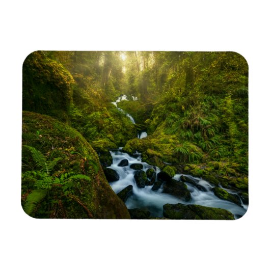 Wasserfälle | Olympic National Park, Washington Magnet (Horizontal)