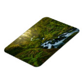 Wasserfälle | Olympic National Park, Washington Magnet (Linke Seite)