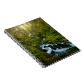 Wasserfälle | Olympic National Park, Washington Notizblock (Rechte Seite)