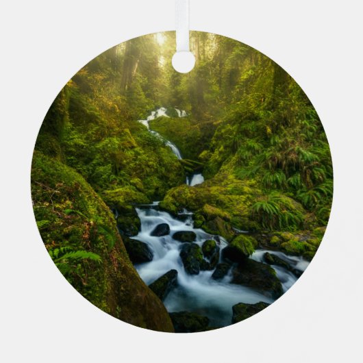 Wasserfälle | Olympic National Park, Washington Ornament Aus Metall (Rückseite)