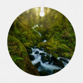 Wasserfälle | Olympic National Park, Washington Ornament Aus Metall (Vorderseite)