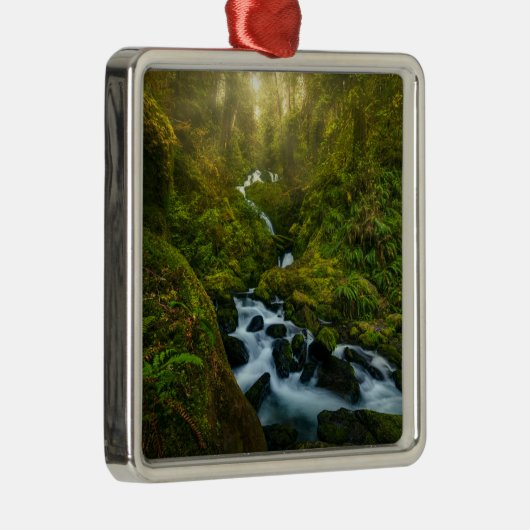 Wasserfälle | Olympic National Park, Washington Ornament Aus Metall (Rechts)