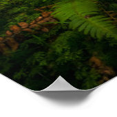 Wasserfälle | Olympic National Park, Washington Poster (Ecke)