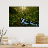 Wasserfälle | Olympic National Park, Washington Poster (Küche)